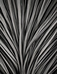 Obraz premium black abstract background