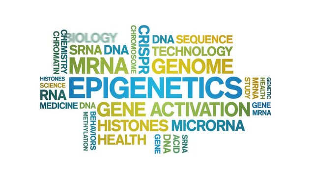 Epigenetics animated word cloud;text design animation tag kinetic typography seamless loop.