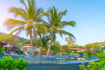 Beautiful outdoor tropical nature landscape of swimming pool in hotel resort with coconut palm tree...