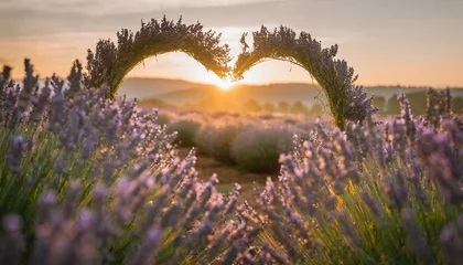 Fotobehang lavender flowers forming a heart shape © Katherine