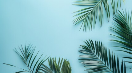 Fototapeta na wymiar Palm leaves on pastel blue background. Summer concept. Flat lay, top view, copy space ,abstract modern minimal background.