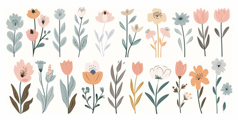 Whimsical Botanical Collection with Modern Design