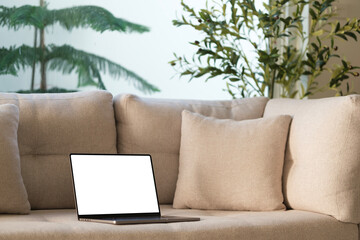 Laptop computer with blank screen on couch sofa with pillows. Aesthetic elegant styled home living...