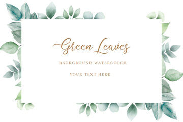 beautiful green leaves background watercolor
