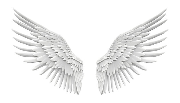 angel white wings isolated on transparent background cutout