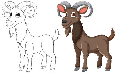 Vector illustration of a ram, both sketched and colored