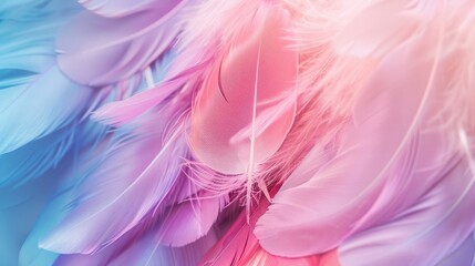 Fototapeta premium Beautiful pastel colored feathers phone wallpaper, hyper realistic detailed in the style of photography. Art, abstract, and beautiful background.