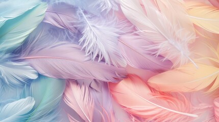 Fototapeta na wymiar Beautiful pastel colored feathers phone wallpaper, hyper realistic detailed in the style of photography. Art, abstract, and beautiful background.
