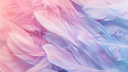 Beautiful pastel colored feathers phone wallpaper, hyper realistic detailed in the style of photography. Art, abstract, and beautiful background.