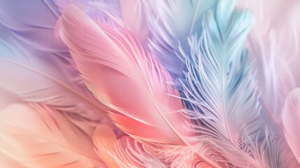 Fototapeta premium Beautiful pastel colored feathers phone wallpaper, hyper realistic detailed in the style of photography. Art, abstract, and beautiful background.