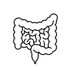 Intestines, linear icon. Digestive system, anatomy of human. Linear illustration, thin line, editable stroke. Infographic symbol.