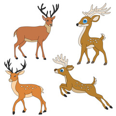 Deer Clipart Set. Cartoon Wild Animals Clipart Set for Lovers of Wildlife.