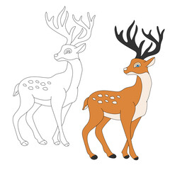 Deer Clipart Set. Cartoon Wild Animals Clipart Set for Lovers of Wildlife.