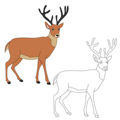 Deer Clipart Set. Cartoon Wild Animals Clipart Set for Lovers of Wildlife.