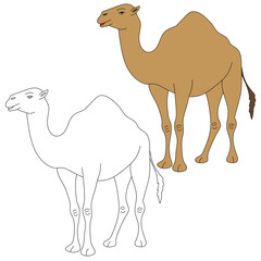Camel Clipart Set. Cartoon Wild Animals Clipart Set for Lovers of Wildlife. 