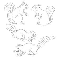 Squirrel Clipart Set. Cartoon Wild Animals Clipart Set for Lovers of Wildlife. 