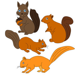 Obraz na płótnie Canvas Squirrel Clipart Set. Cartoon Wild Animals Clipart Set for Lovers of Wildlife. 