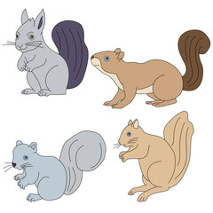 Squirrel Clipart Set. Cartoon Wild Animals Clipart Set for Lovers of Wildlife. 
