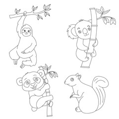 Cartoon Wild Animals Clipart Set for Lovers of Wildlife. koala, sloth, panda, squirrel