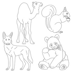 Cartoon Wild Animals Clipart Set for Lovers of Wildlife. squirrel, camel, panda, wolf