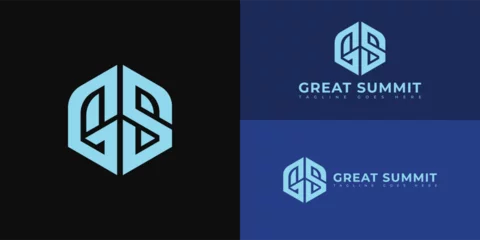 Fotobehang Abstract initial hex letter GS or SG logo in blue color isolated on multiple blue background colors. The logo is suitable for marketing conference business logo icons to design inspiration templates. © Miftakhul