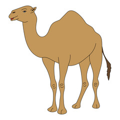 Colorful Camel Clipart. Cartoon Wild Animals Clipart Set for Lovers of Wildlife. 