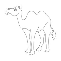 Outline Camel Clipart. Cartoon Wild Animals Clipart Set for Lovers of Wildlife. 