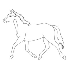 Outline Horse Clipart. Cartoon Wild Animals Clipart Set for Lovers of Wildlife. 