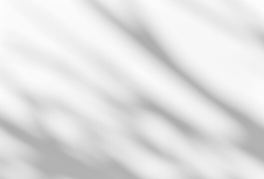 Shadow of leaves tree plant overlay on white wall. Sunlight effect shadow on the wall. Minimal blurred backdrop backgrounds. Summer tropical surface background.	