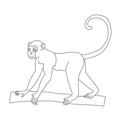 Monkey Clipart for Lovers of Wildlife and Wild Animals. cartoon Monkey 