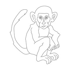 Monkey Clipart for Lovers of Wildlife and Wild Animals. cartoon Monkey 