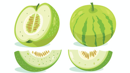 Delicious fresh ripe honeydew fruit illustration