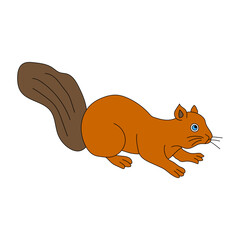 Kawaii Squirrel Clipart. Cartoon Squirrel Clipart