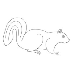 Kawaii Squirrel Clipart. Cartoon Squirrel Clipart