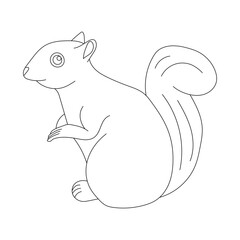 Kawaii Squirrel Clipart. Cartoon Squirrel Clipart