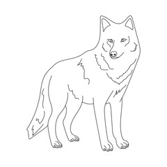 Wolf Clipart for Wildlife and Wild Animals Lovers. Cartoon Wolf Clipart