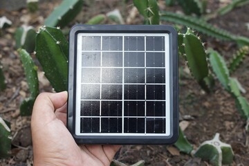 Hand holding solar panel with cactus farm