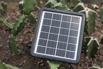 Solar panel with cactus farm