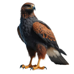 Obraz premium Isolated Wild Life on a Clear PNG Canvas, Generative AI