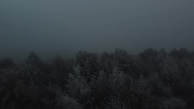 Aerial video over trees in the morning at Rutland Water Oakham UK