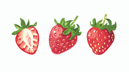 Strawberry illustration isolated. Red berry str
