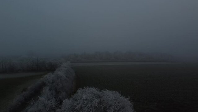 Aerial video over trees in the morning at Rutland Water Oakham UK