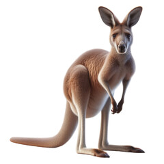 Isolated Animal on a Clear PNG Canvas, Generative AI