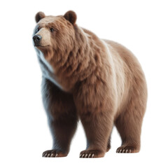 Fototapeta premium Isolated Animal on a Clear PNG Canvas, Generative AI