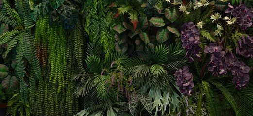Group of dark green tropical leaves background, Nature Lush Foliage Leaf Texture, tropical leaf