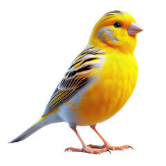 Isolated Bird on a Clear PNG Canvas, Generative AI