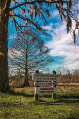 Sunny day at the Brazos Bend State Park