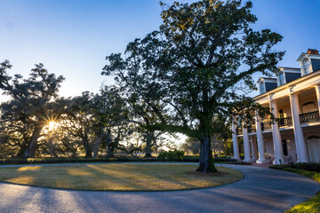 Evening at the Oak Alley Plantation