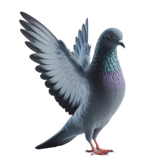 Isolated Pigeon on a Clear PNG Canvas, Generative AI - obrazy, fototapety, plakaty