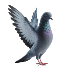Foto op Canvas Isolated Pigeon on a Clear PNG Canvas, Generative AI © faical